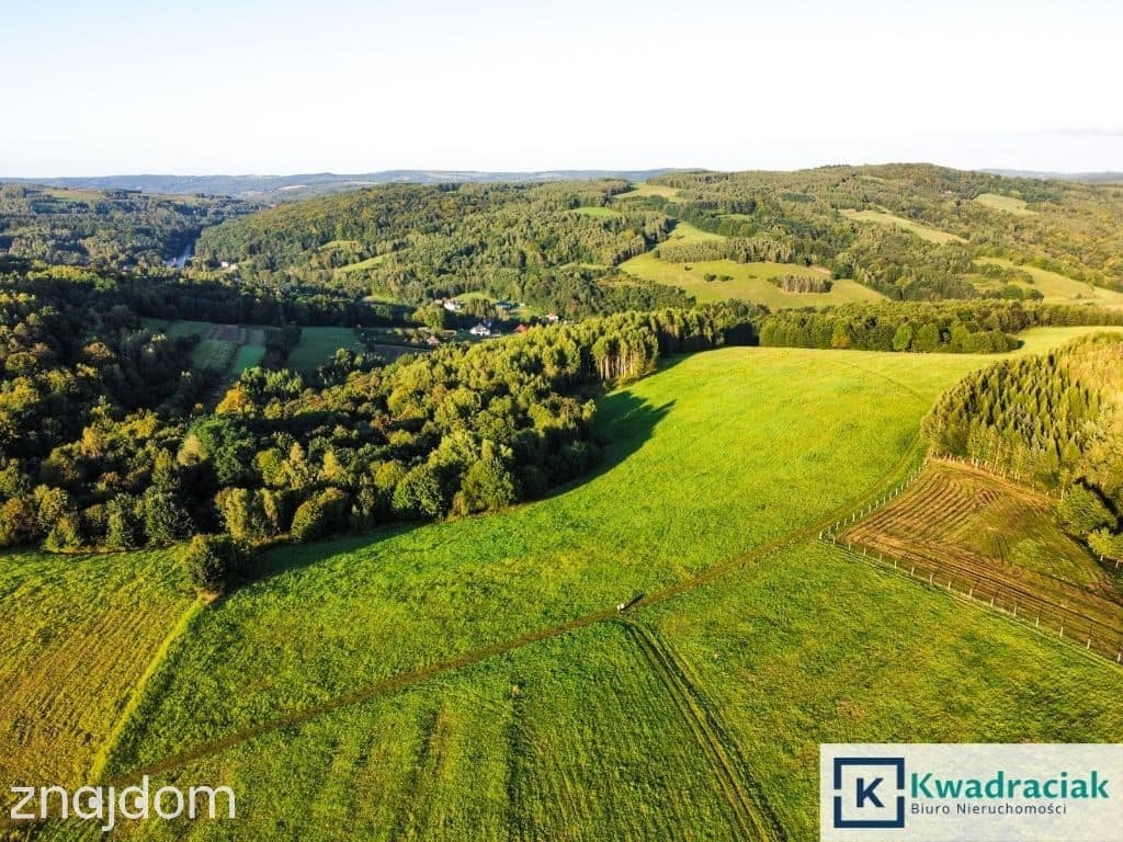 Działka w Lutczy idealna pod Inwestycję – 4,48 ha