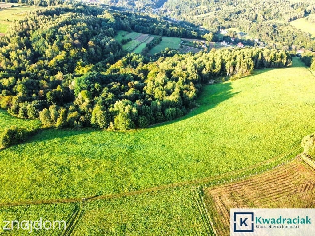 Działka w Lutczy idealna pod Inwestycję – 4,48 ha - zdjęcie 3
