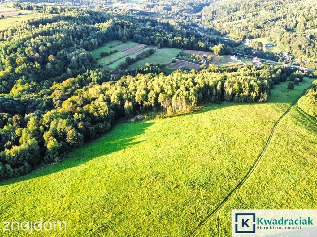 Działka w Lutczy idealna pod Inwestycję – 4,48 ha - zdjęcie 4