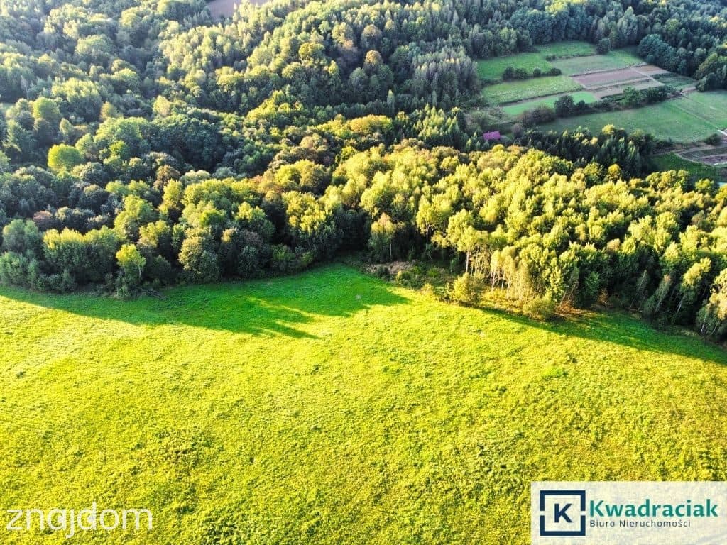 Działka w Lutczy idealna pod Inwestycję – 4,48 ha - zdjęcie 5