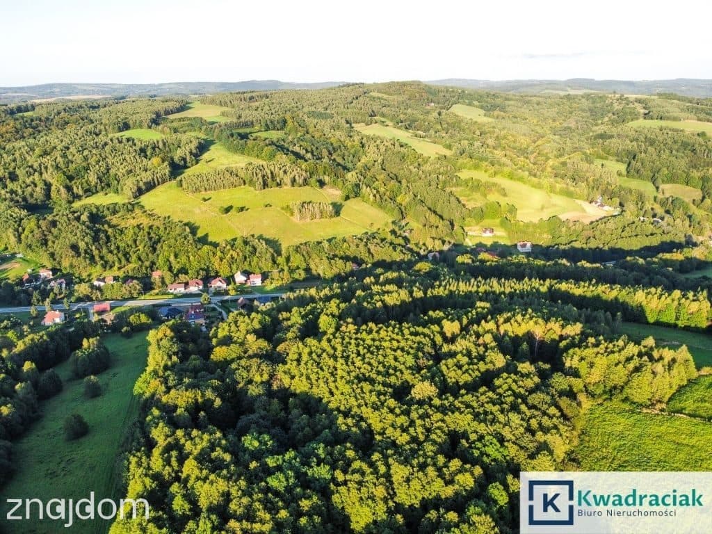 Działka w Lutczy idealna pod Inwestycję – 4,48 ha - zdjęcie 7