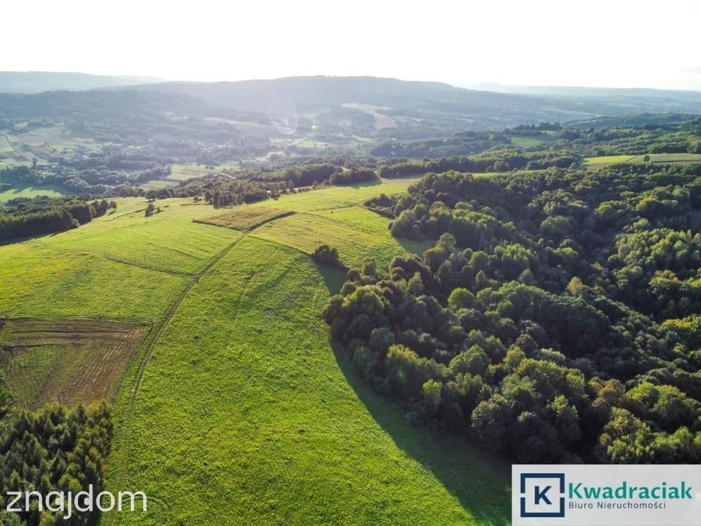 Działka w Lutczy idealna pod Inwestycję – 4,48 ha - zdjęcie 9