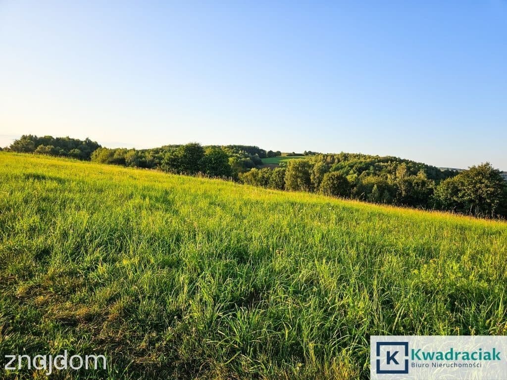 Działka w Lutczy idealna pod Inwestycję – 4,48 ha - zdjęcie 10