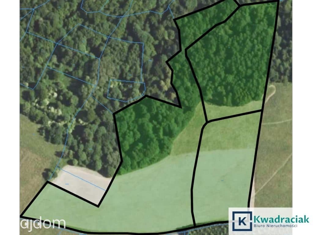 Działka w Lutczy idealna pod Inwestycję – 4,48 ha - zdjęcie 12