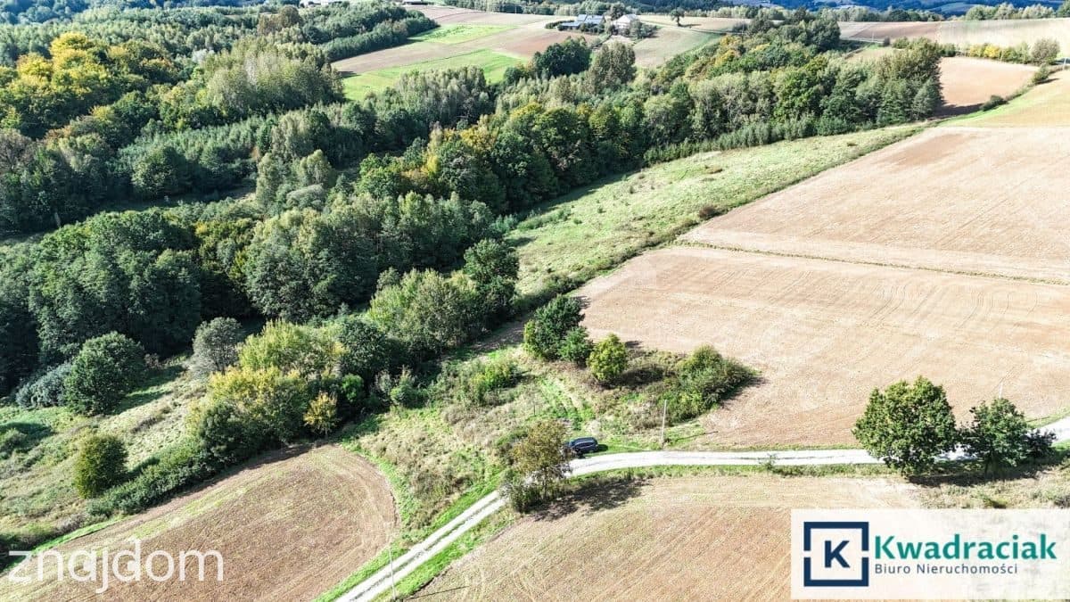Działka z widokiem na Pogórze Strzyżowskie–Brzezin - zdjęcie 4