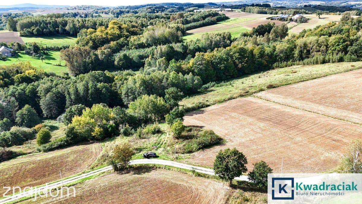 Działka z widokiem na Pogórze Strzyżowskie–Brzezin - zdjęcie 8