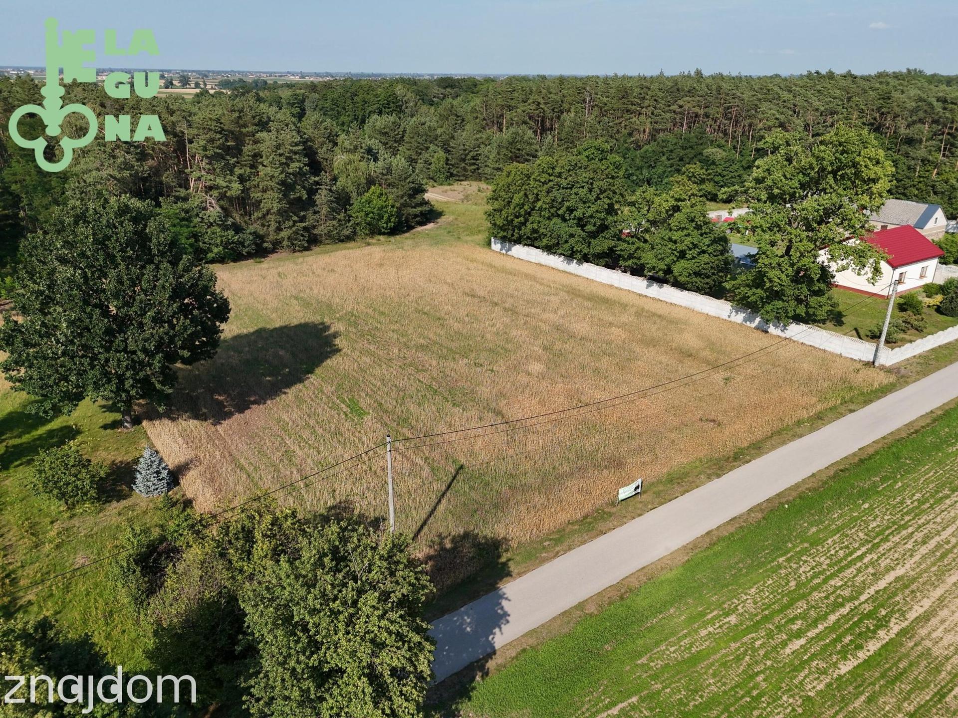 Działka budowlana w otulinie lasu i pól 3488 m2 - zdjęcie 6