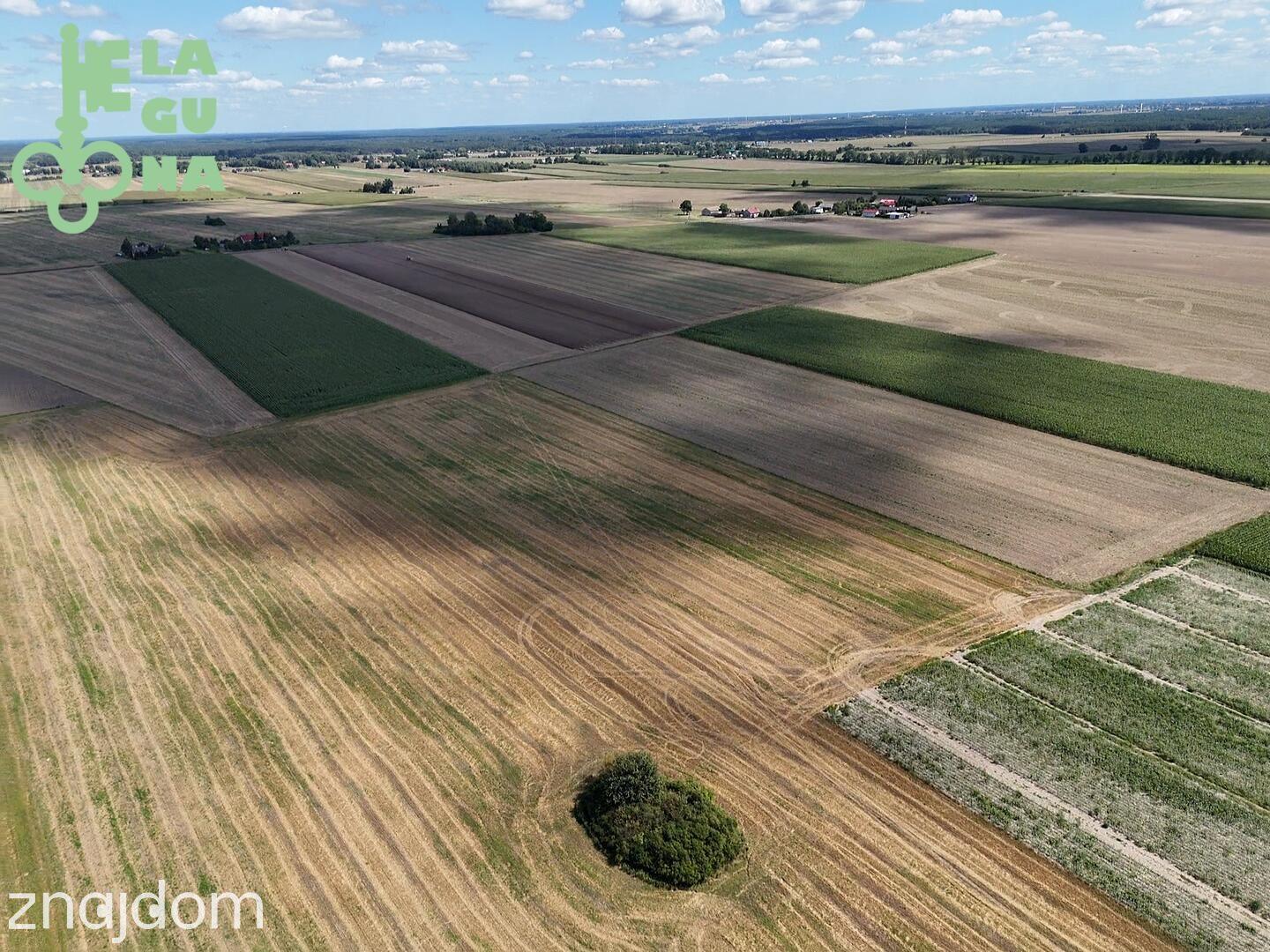 Działka rolna 1,99 ha – Siemianów, gm. Strzelce! - zdjęcie 2