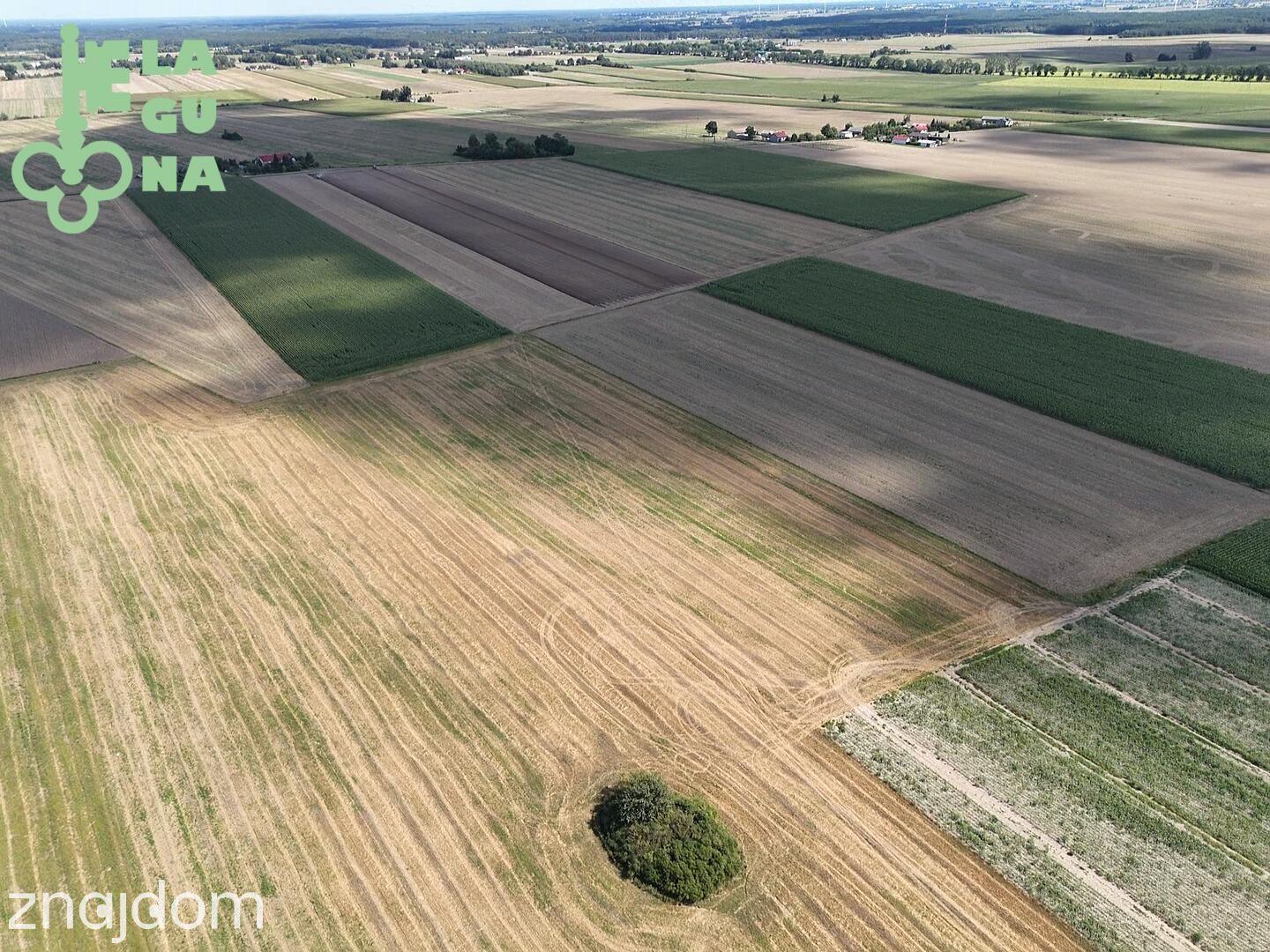 Działka rolna 1,99 ha – Siemianów, gm. Strzelce! - zdjęcie 3