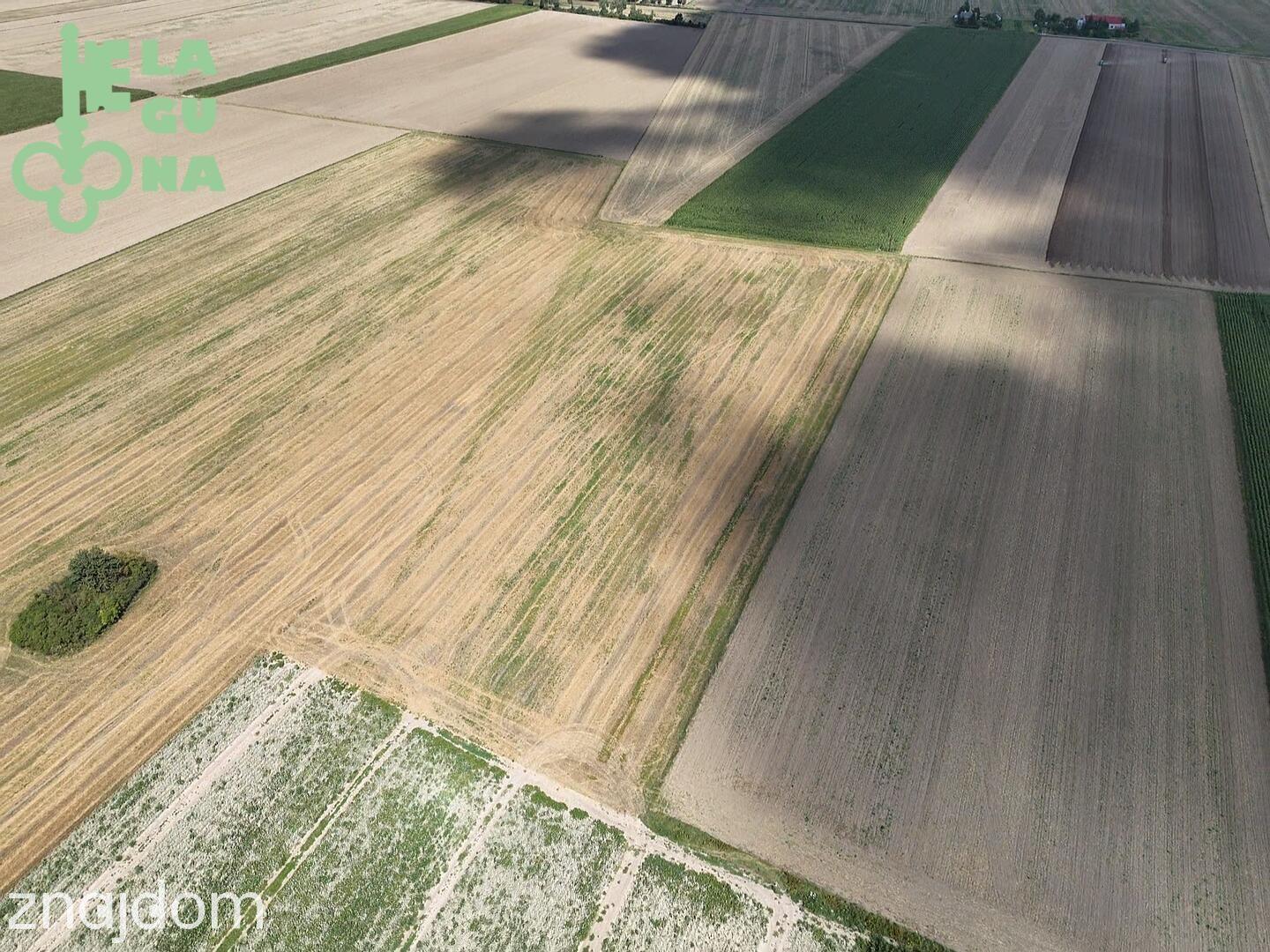 Działka rolna 1,99 ha – Siemianów, gm. Strzelce! - zdjęcie 4