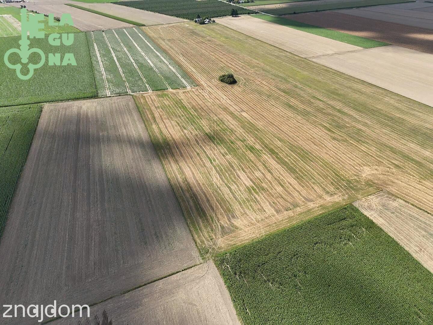 Działka rolna 1,99 ha – Siemianów, gm. Strzelce! - zdjęcie 5