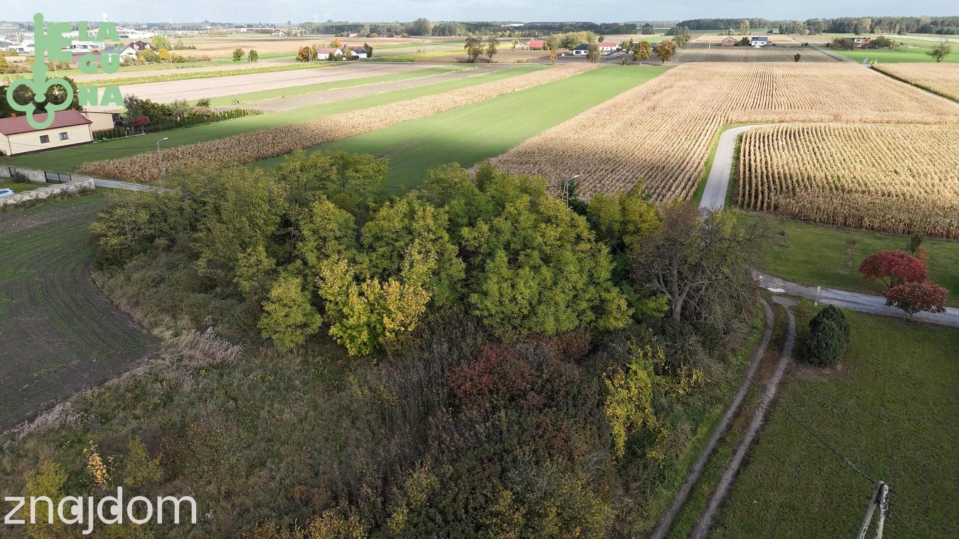 Promocja sprzedaży ofertowej nieruchomości gminnych - Gmina Krzyżanów