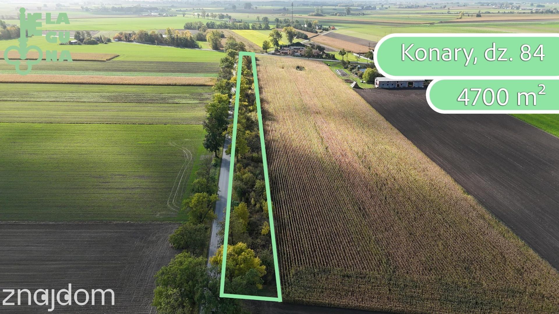 Promocja sprzedaży ofertowej nieruchomości gminnych - Gmina Krzyżanów - zdjęcie 7