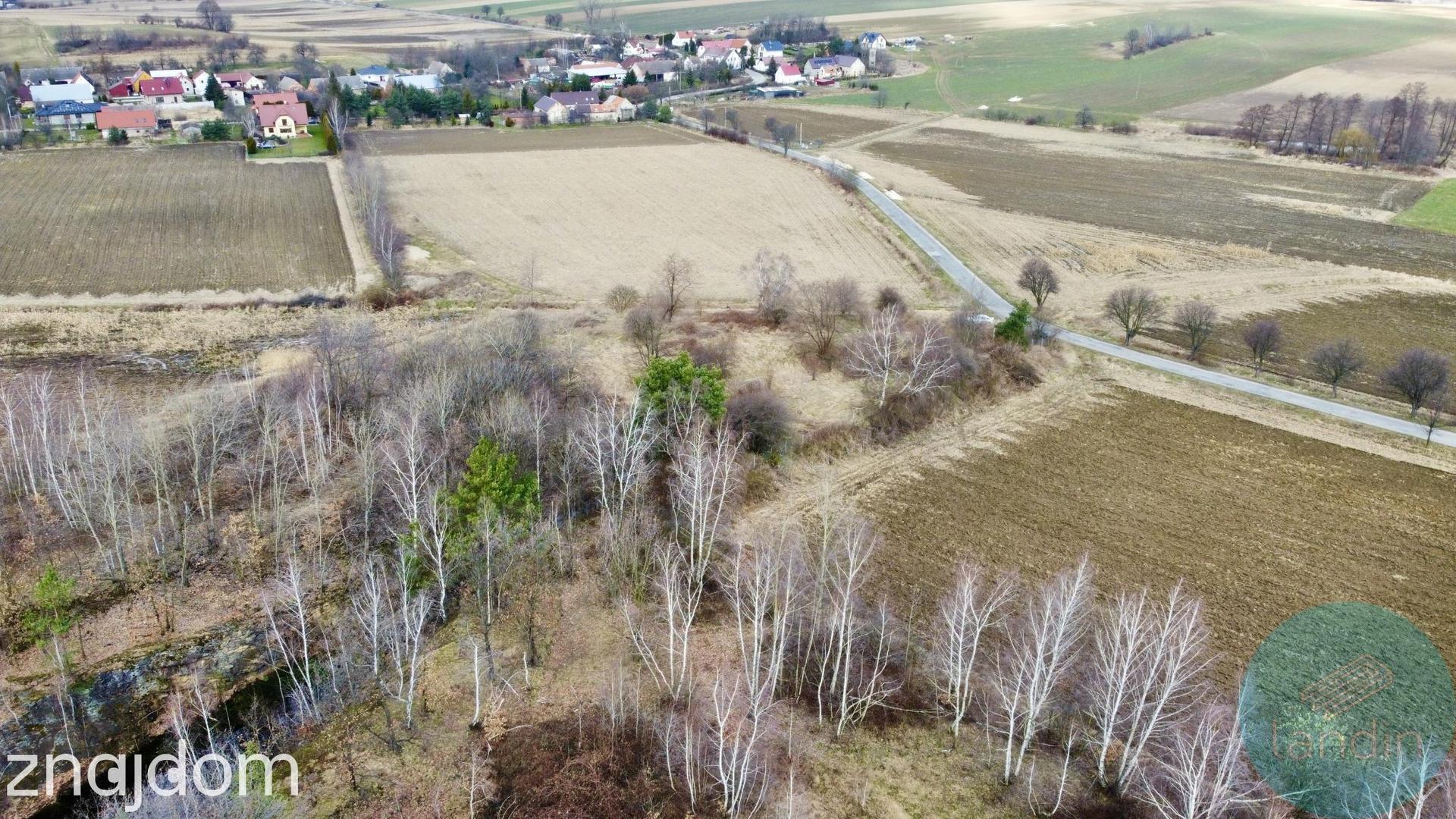 Działka inwestycyjna Kuropatnik gmina Strzelin - zdjęcie 3