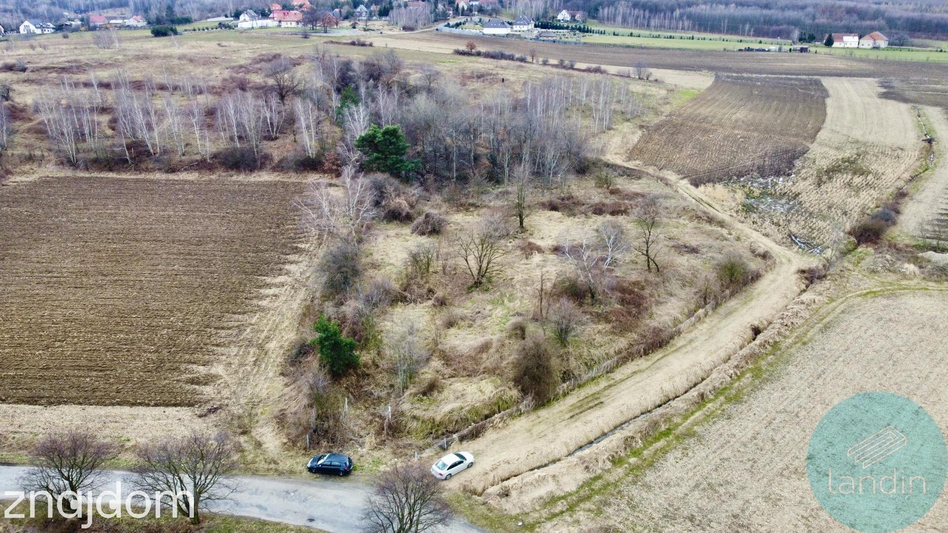 Działka inwestycyjna Kuropatnik gmina Strzelin - zdjęcie 4