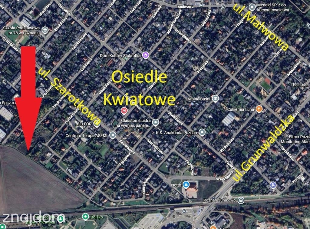 Os. Kwiatowe - działki budowlane MPZP - zdjęcie 3