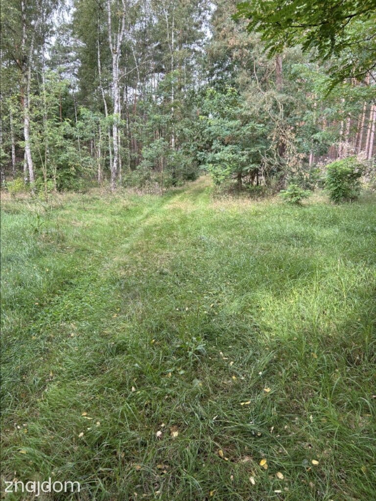 Działki w Borui Kościelnej o powierzchni 0,9352 ha