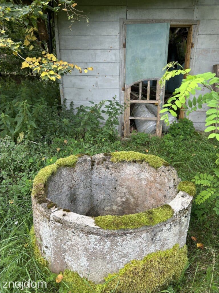 Działki w Borui Kościelnej o powierzchni 0,9352 ha - zdjęcie 6