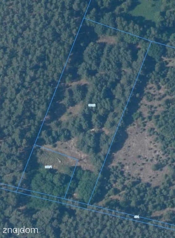 Działki w Borui Kościelnej o powierzchni 0,9352 ha - zdjęcie 12
