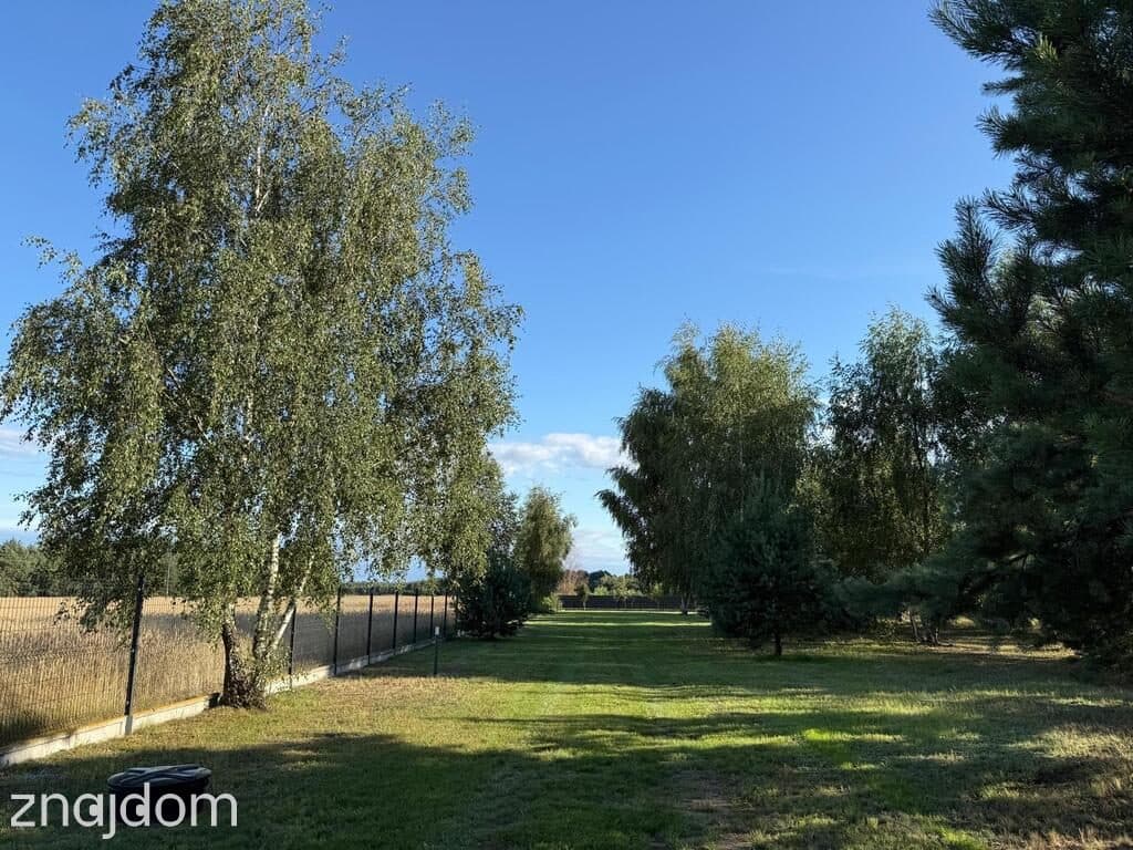 Działka 3117 m² z domkiem holenderskim i WZ – Nekielka - zdjęcie 5