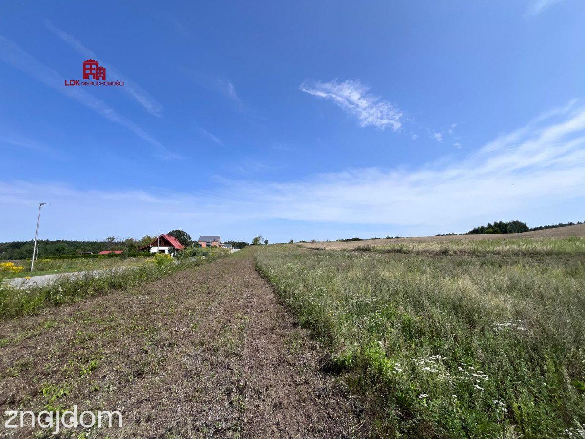 Unikalna działka 4,7 ha | MPZP – zabudowa MN - zdjęcie 14