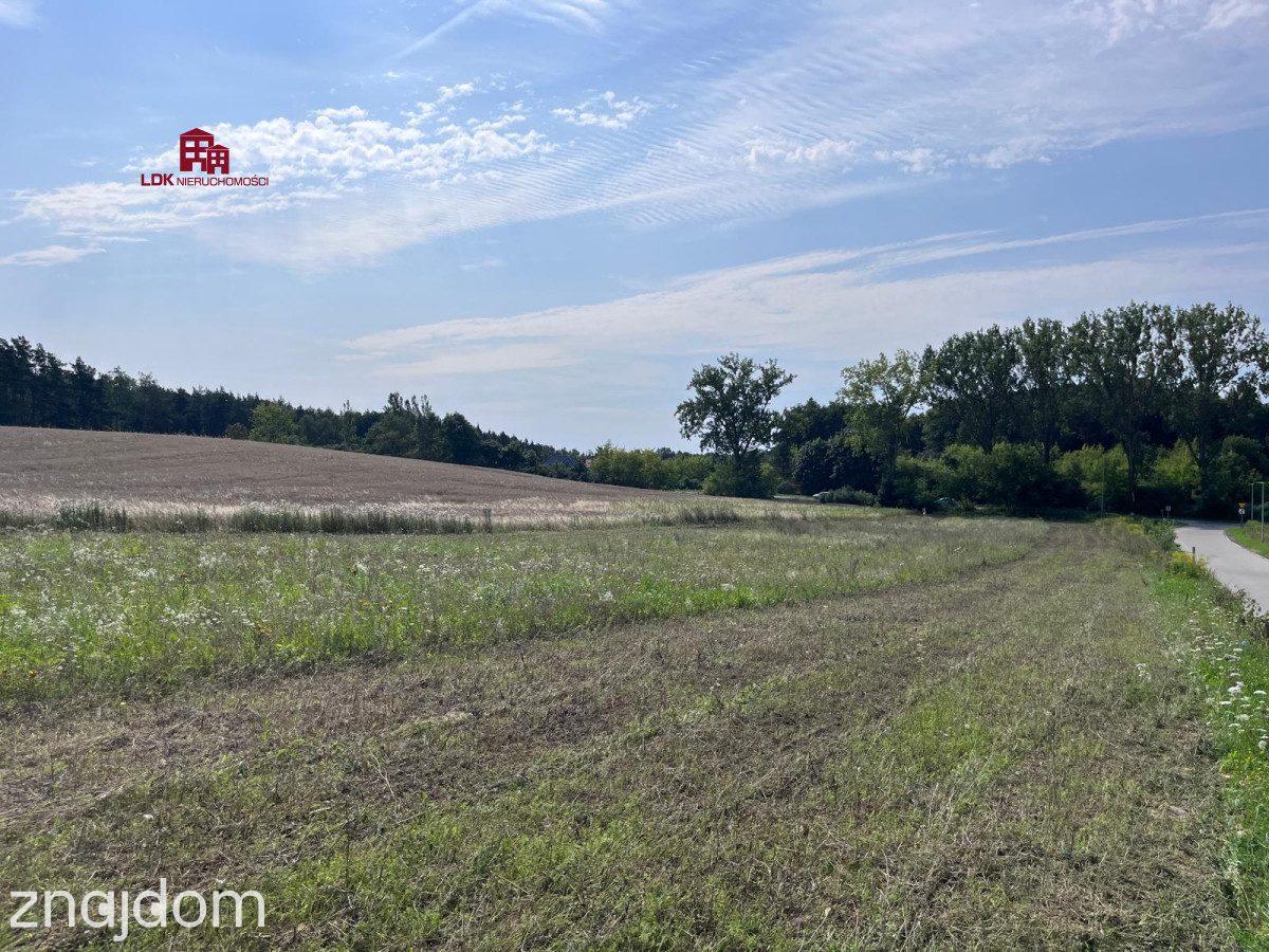 Unikalna działka 4,7 ha | MPZP – zabudowa MN - zdjęcie 8
