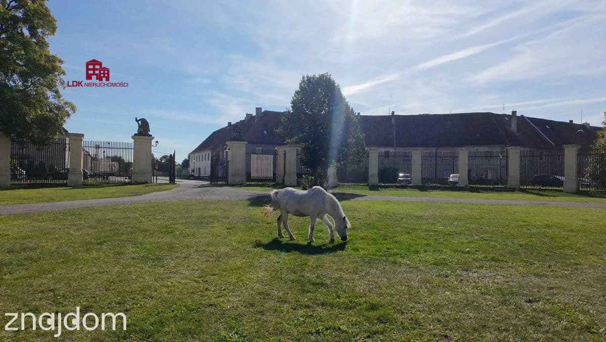 Bezczynszowe 83 m² przy Pałacu Brühla w Brodach - zdjęcie 13