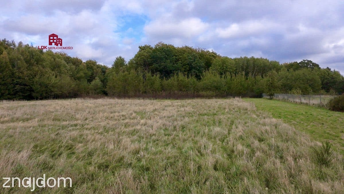 Działki budowlane w Gałęzinowie - zdjęcie 8
