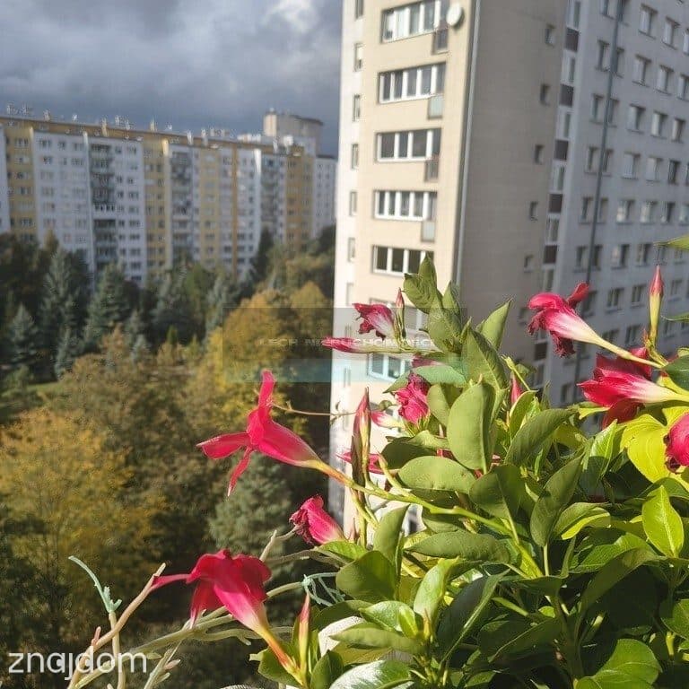 3 pokoje na Bielanach