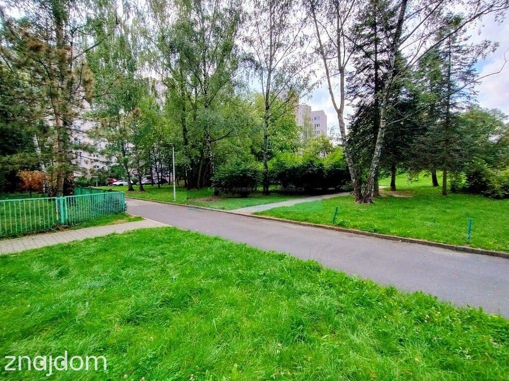 Dwustronne, duży ogródek. - zdjęcie 15