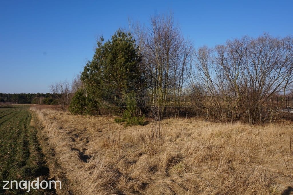Budowlana 2300m2 reszta rolna - zdjęcie 6