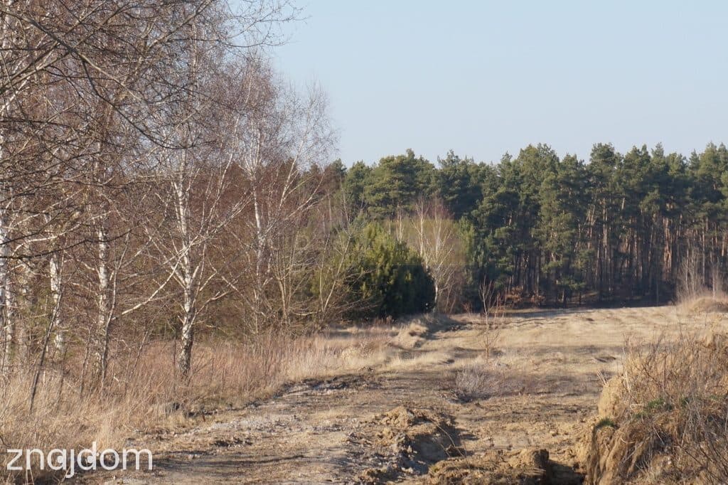 Budowlana 2300m2 reszta rolna - zdjęcie 7