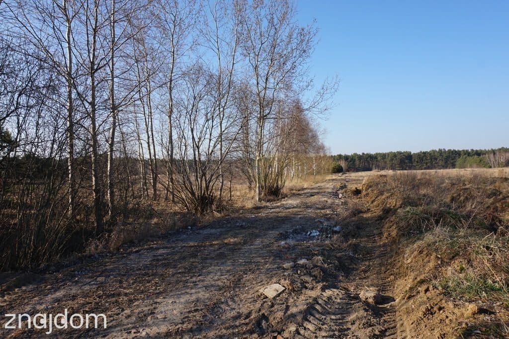 Budowlana 2300m2 reszta rolna - zdjęcie 8
