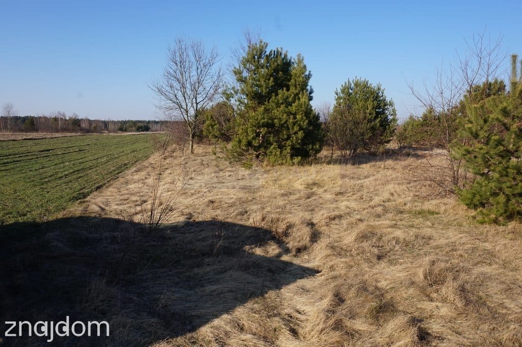 Budowlana 2300m2 reszta rolna - zdjęcie 13