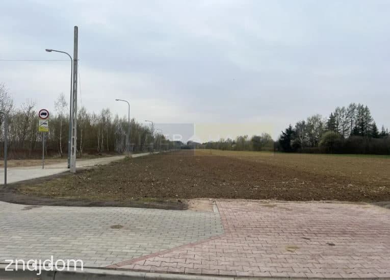Działka, DZIEKANÓW NOWY - zdjęcie 4