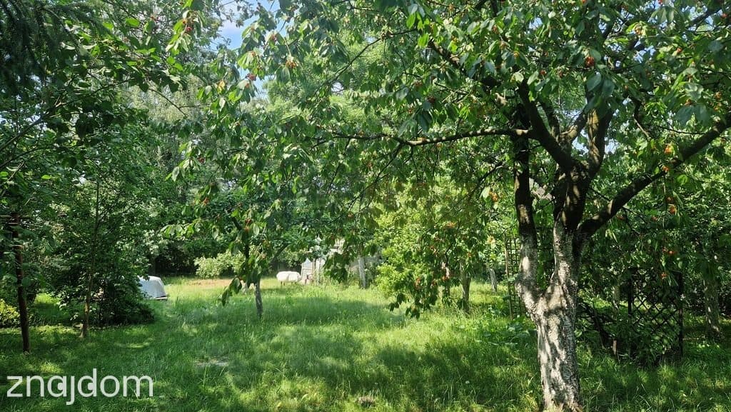 Płoński, Joniec, Wojny Siedlisko z dużą działką - zdjęcie 5