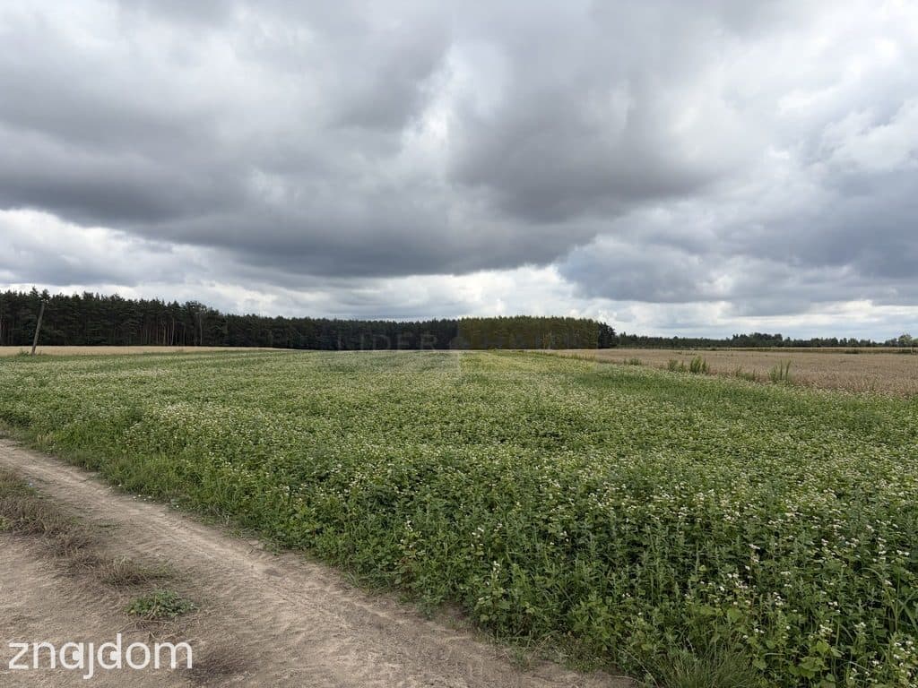 Działka rolna 1,21 ha, kształt trapezu, dojazd z g