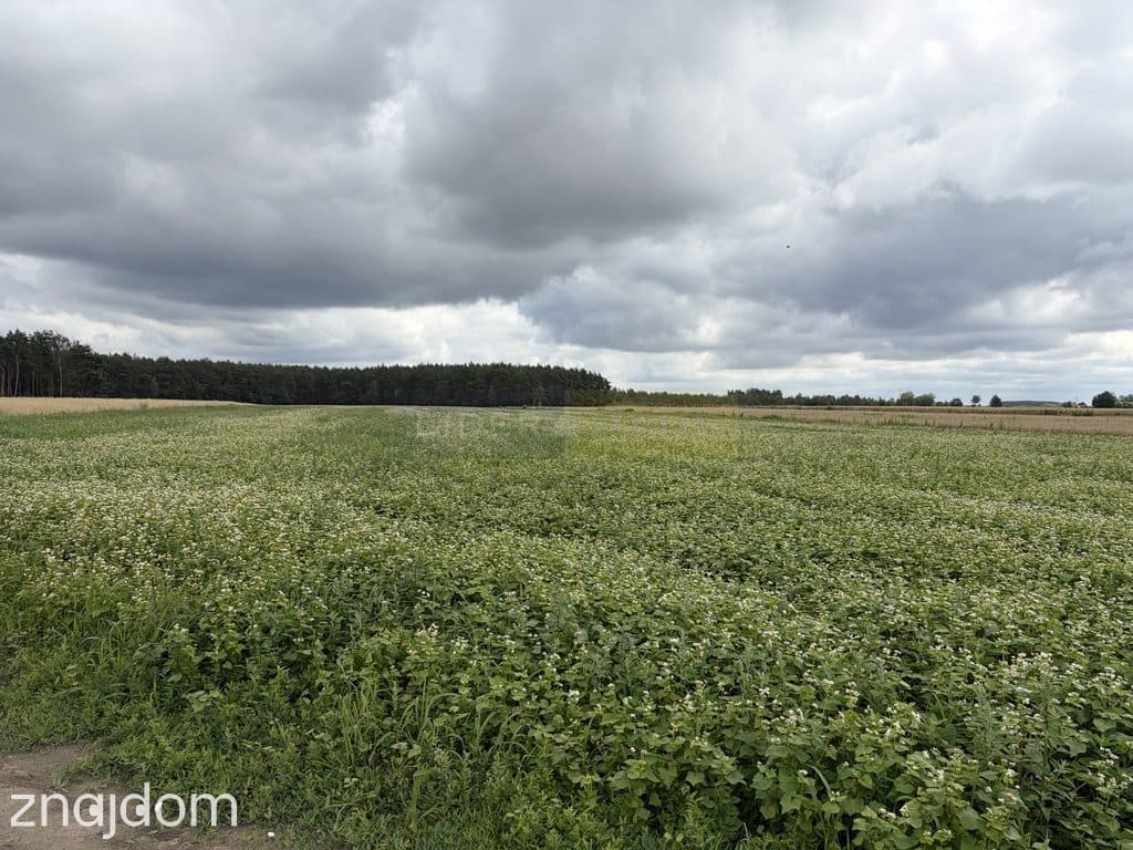 Działka rolna 1,21 ha, kształt trapezu, dojazd z g - zdjęcie 2