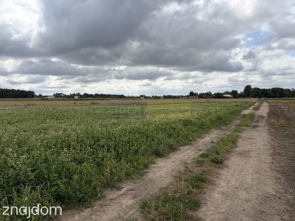 Działka rolna 1,21 ha, kształt trapezu, dojazd z g - zdjęcie 3