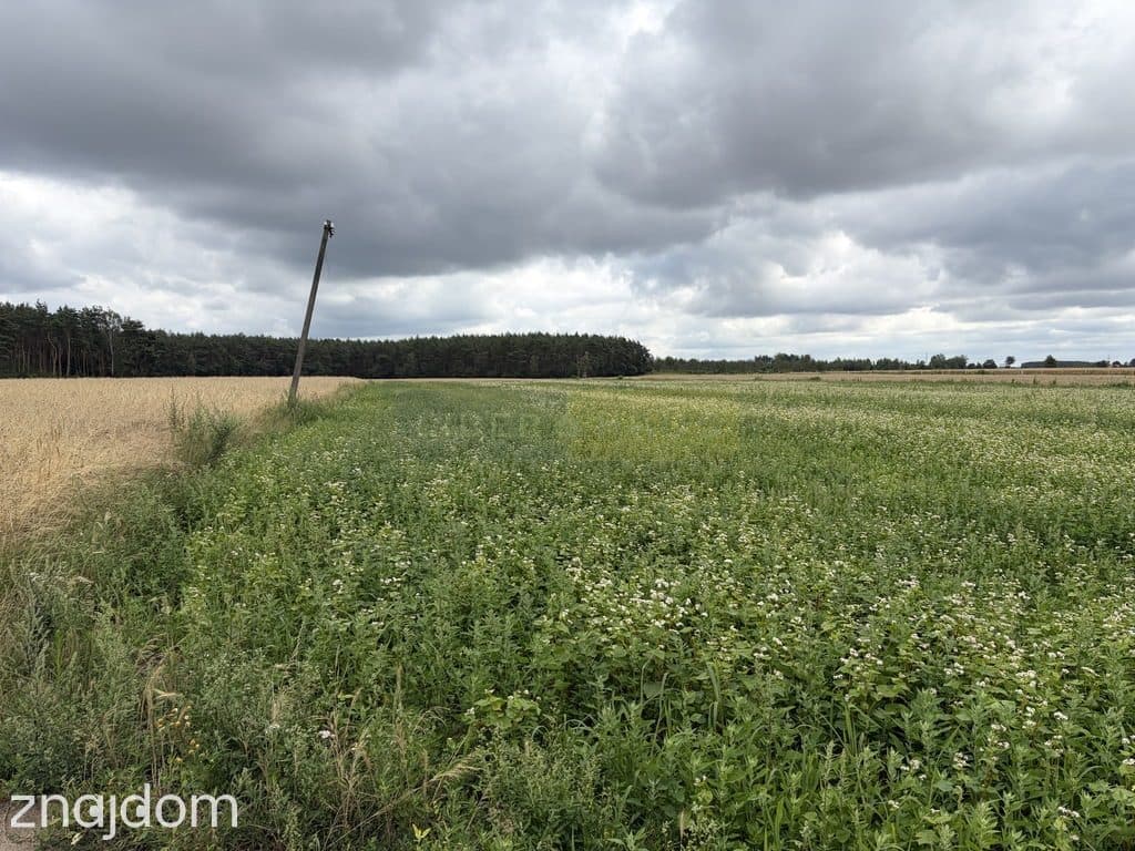 Działka rolna 1,21 ha, kształt trapezu, dojazd z g - zdjęcie 4