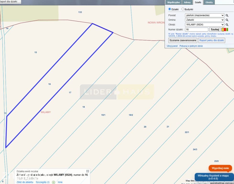 Działka rolna 1,21 ha, kształt trapezu, dojazd z g - zdjęcie 5