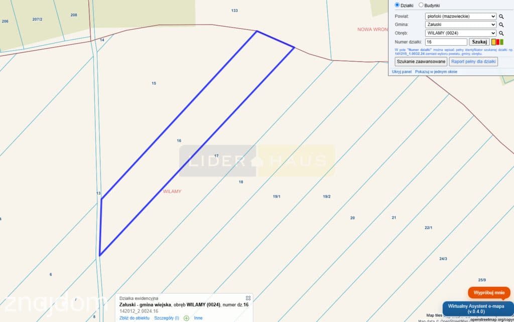 Działka rolna 1,21 ha, kształt trapezu, dojazd z g - zdjęcie 6