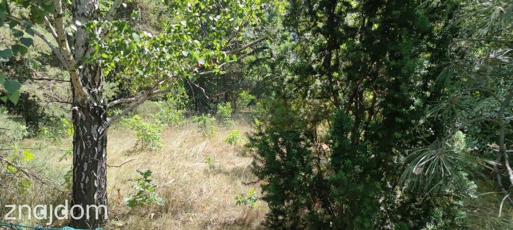 Usługi, magazyny,lub deweloperka - zdjęcie 8
