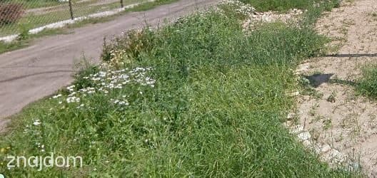 Działka pod kilka jednostek. - zdjęcie 4