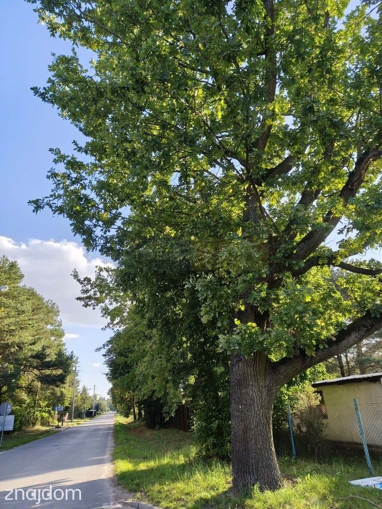Działka budowlana 900 m², asfalt, Mariew - zdjęcie 6