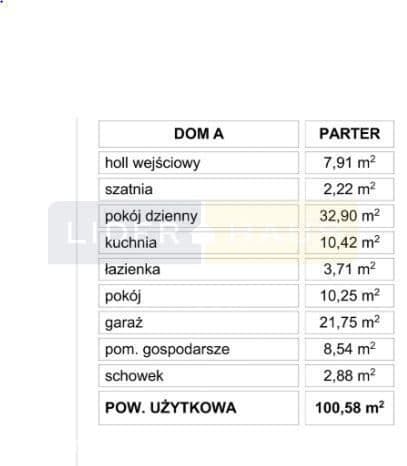 DĄBROWA LEŚNA - zdjęcie 9