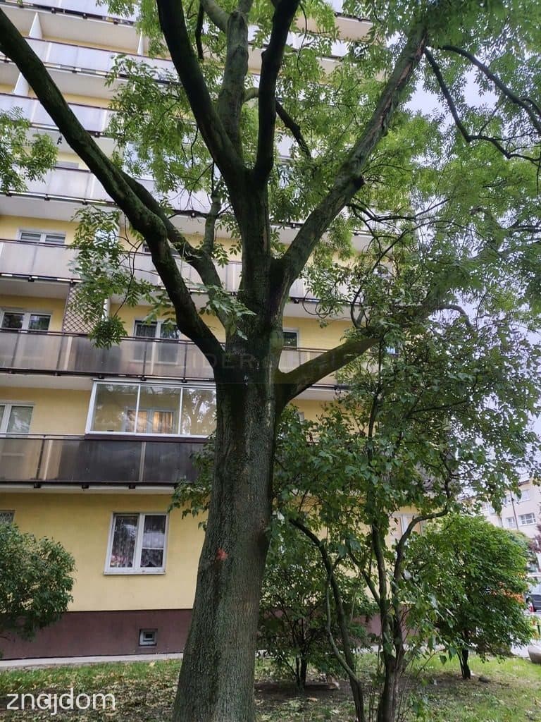 KAWALERKA NA WOLI | DUŻY BALKON | BLISKO METRA | 23,23 m² | 399 000 ZŁ - zdjęcie 7