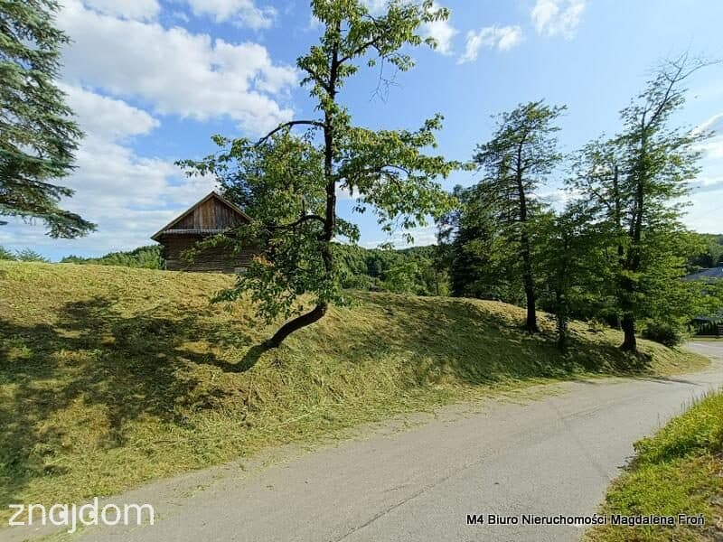 Siedlisko na podkarpaciu.90 ar. działka - zdjęcie 10