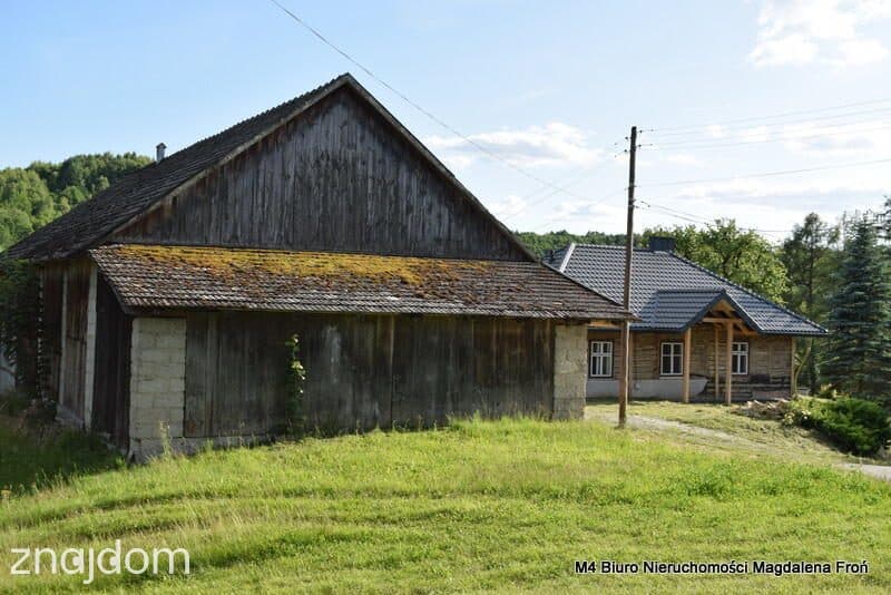 Siedlisko na podkarpaciu.90 ar. działka - zdjęcie 13