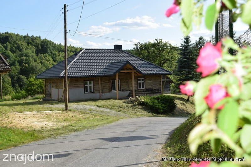 Siedlisko na podkarpaciu.90 ar. działka - zdjęcie 2